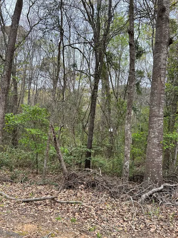 Dalzell, SC 29040,2930 Mcelveen DR Drive