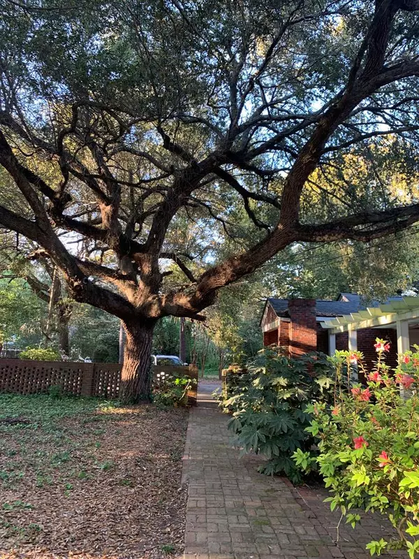 Summerton, SC 29148,12 S Dukes ST Street