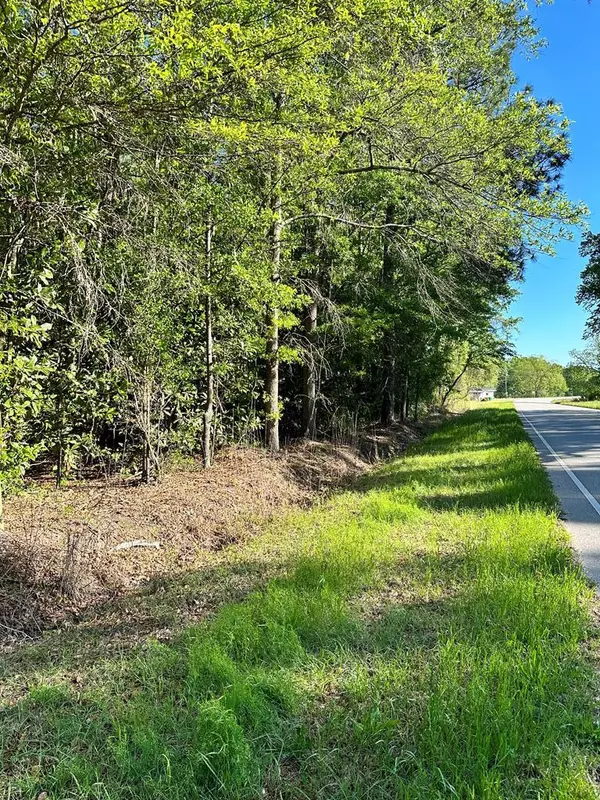 0000 Florence HWY Highway, Mayesville, SC 29104