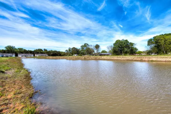 Sumter, SC 29154,442 Conifer ST Street