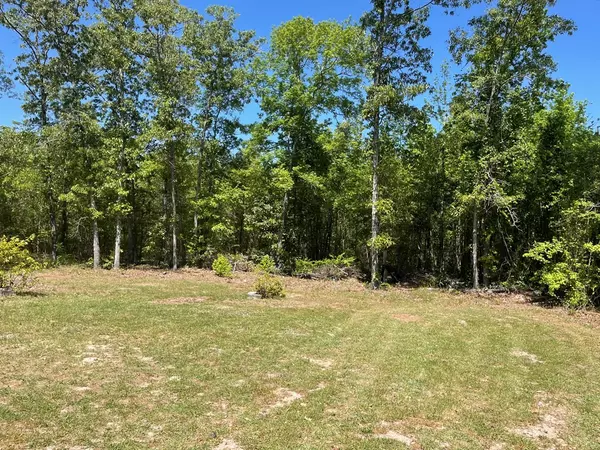 Sumter, SC 29154,2375 Walter Conyers LN Lane