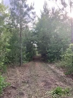 Summerton, SC 29148,TBD House RD Road