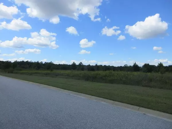 Sumter, SC 29154,540 Brushwood DR Drive