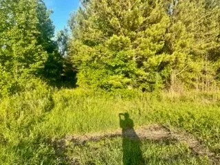 Summerton, SC 29148,3615 William Brunson RD Road