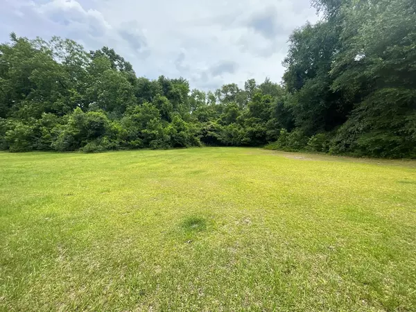 Summerton, SC 29148,TBD Windham ST Street