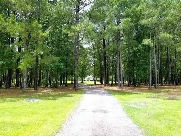 Summerton, SC 29148,1995 Sam Nexsen RD Road