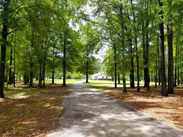 Summerton, SC 29148,1995 Sam Nexsen RD Road