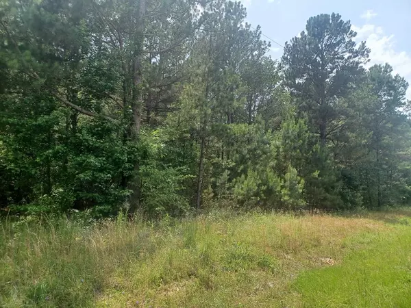 Summerton, SC 29148,TBD Furse RD Road