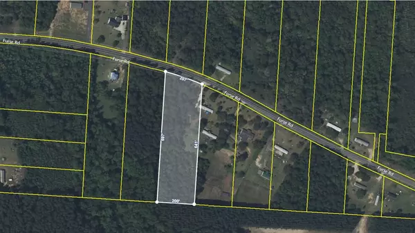 Summerton, SC 29148,TBD Furse RD Road