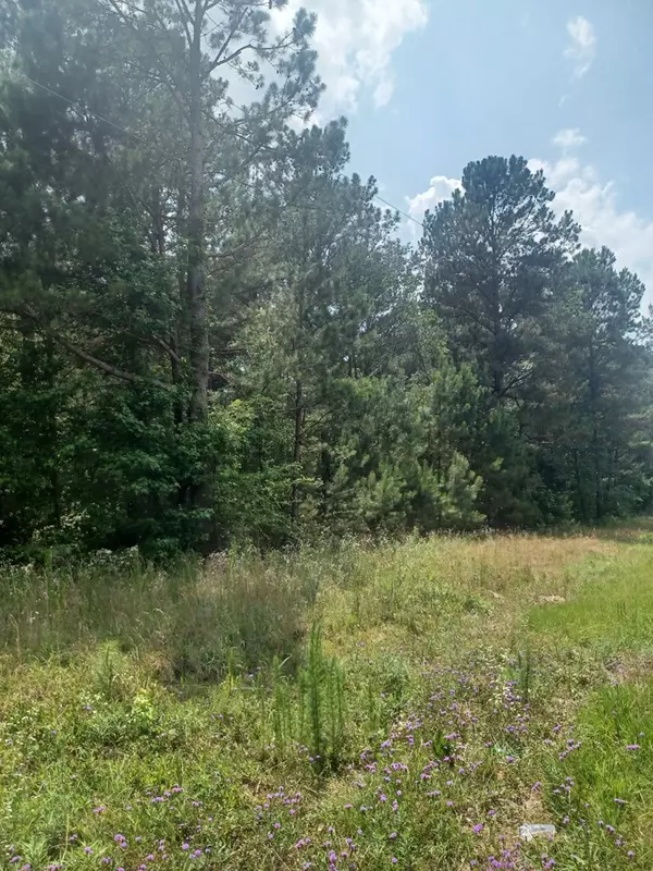 Summerton, SC 29148,TBD Furse RD Road