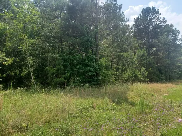 Summerton, SC 29148,TBD Furse RD Road