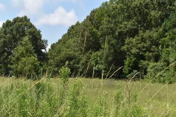 TBD Fishing PL Place, Summerton, SC 29148