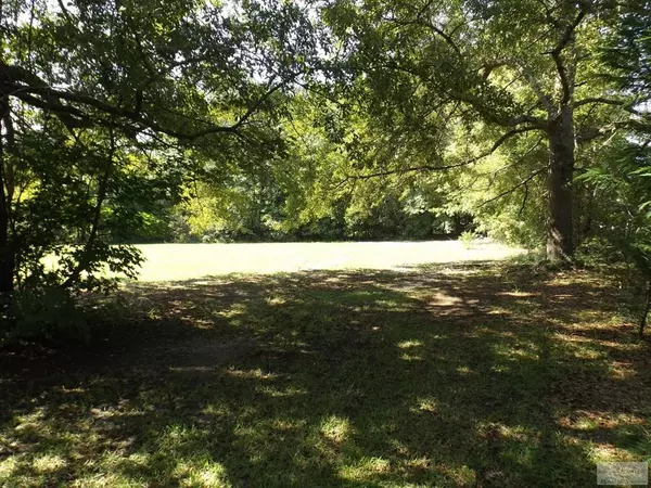 Manning, SC 29102,Lot 10 Hwy 260