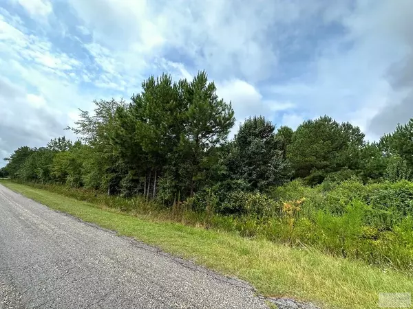 Turbeville, SC 29162,TBD American AVE Avenue