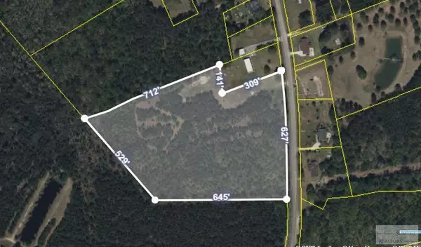 Turbeville, SC 29162,TBD American AVE Avenue