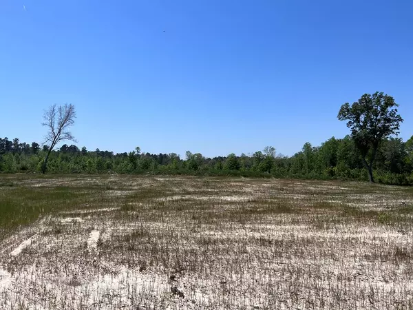 5 Sc-27, Ridgeville, SC 29472