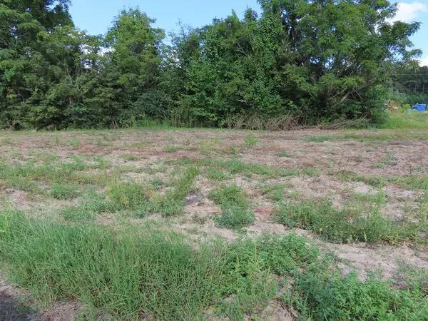 606 Gamebird LN Lane, Elloree, SC 29047