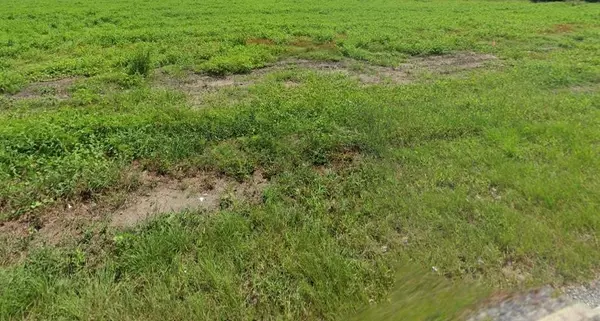 Pinewood, SC 29125,306/312 Hampton St/Marion ST Street