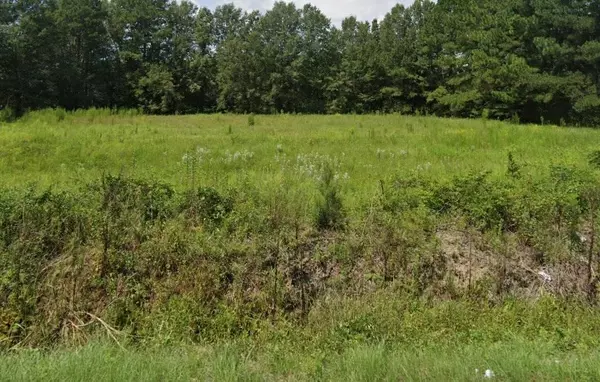 Pinewood, SC 29125,213/301 Hampton Rd/Marion RD Road