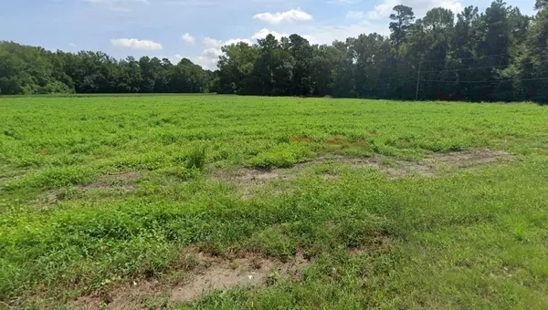 Pinewood, SC 29125,213/301 Hampton Rd/Marion RD Road