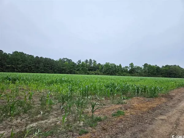 TBD Shawn LN Lane, Lake City, SC 29560