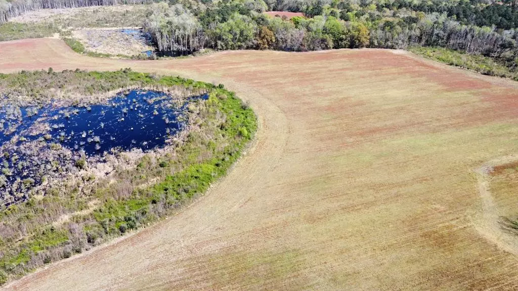 Branchville, SC 29432,Parcel A Doc RD Road