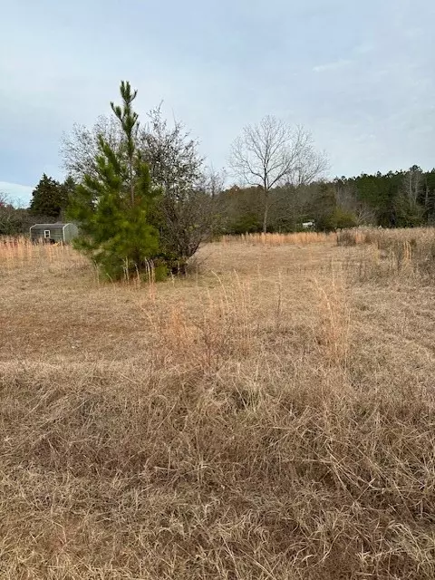 Wedgefield, SC 29168,2025 Haywood Choice RD Road