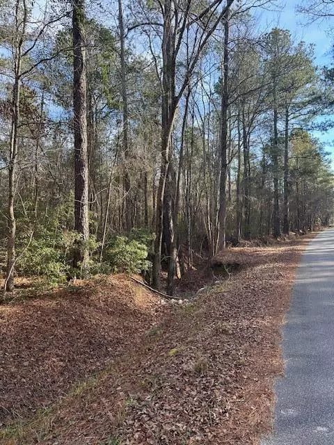 Summerton, SC 29148,1212 Hudson RD Road