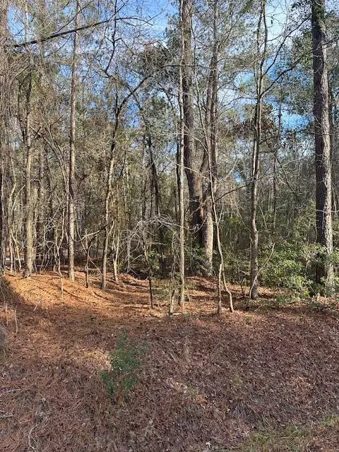 Summerton, SC 29148,1212 Hudson RD Road