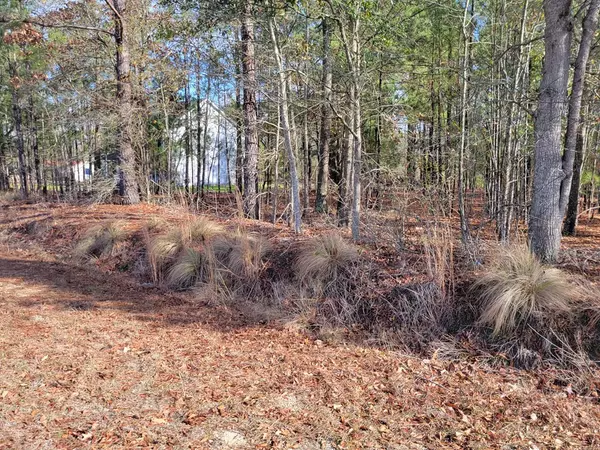 Rembert, SC 29128,TBD St Johns RD Road