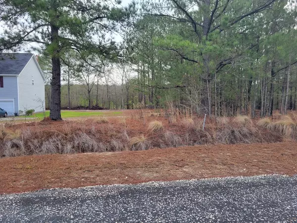 Rembert, SC 29128,TBD St Johns RD Road