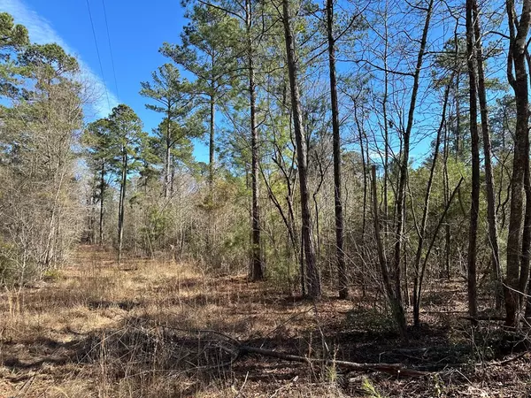 Summerton, SC 29148,Tract 4 Cotton LN Lane