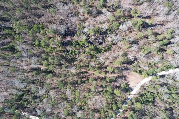 Summerton, SC 29148,Tract 5 Cotton LN Lane