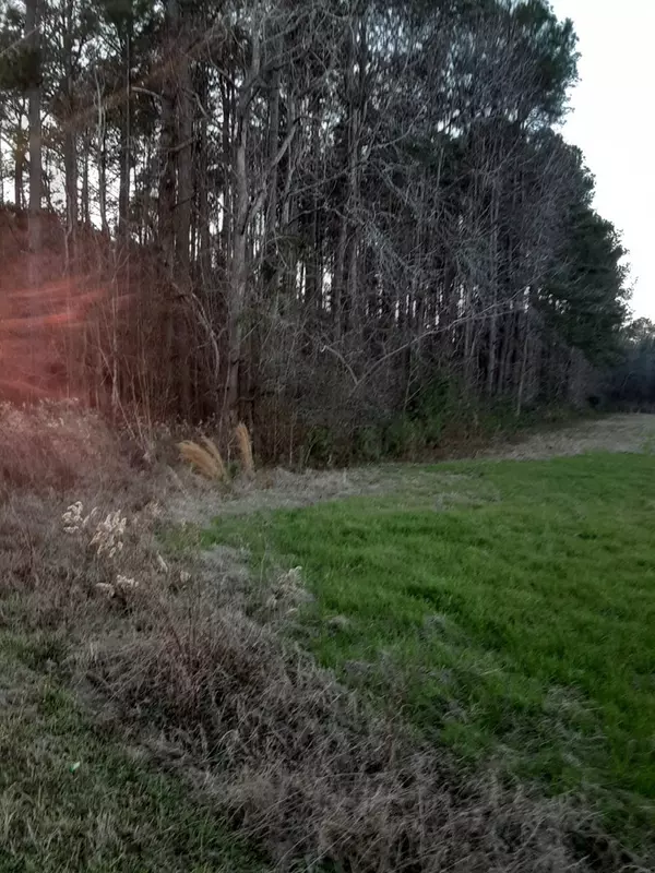 Holly Hill, SC 29059,0 Toney Bay RD Road