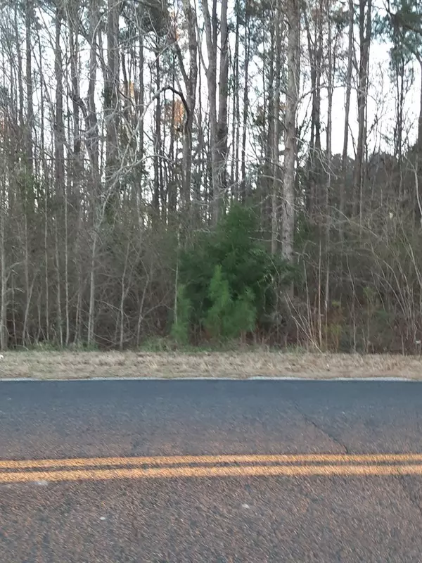 Holly Hill, SC 29059,0 Toney Bay RD Road