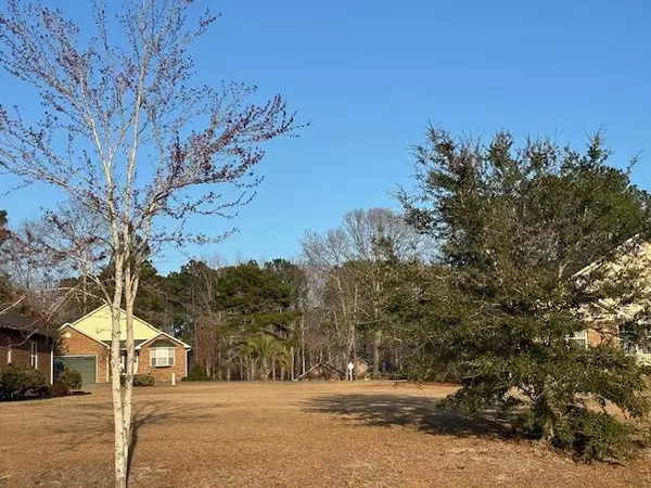 510 Oak Hill DR Drive, Manning, SC 29102