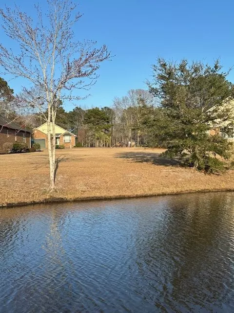 Manning, SC 29102,510 Oak Hill DR Drive
