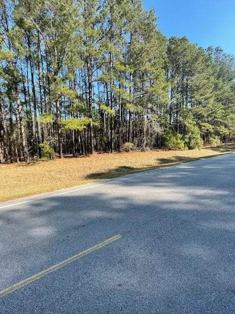 Summerton, SC 29148,TBD Mw Rickenbaker RD Road