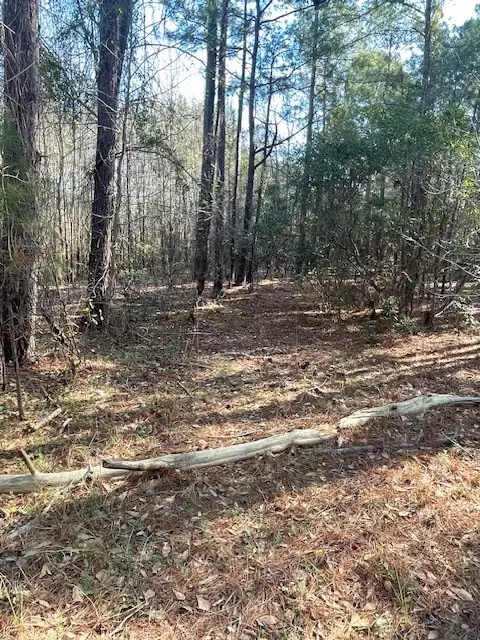 Summerton, SC 29148,TBD Mw Rickenbaker RD Road