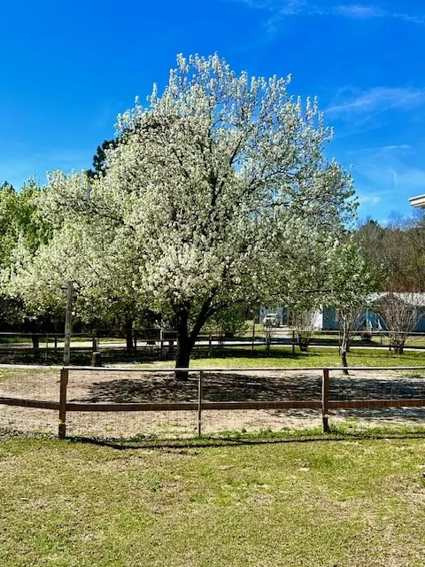 Summerton, SC 29148,1064 Brandywine