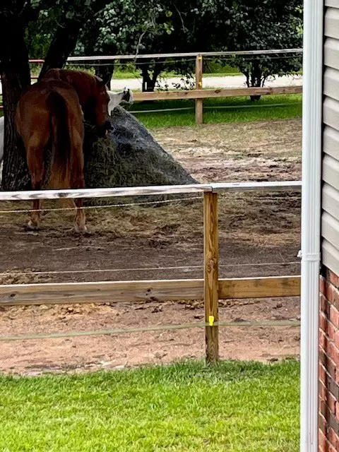 Summerton, SC 29148,1064 Brandywine