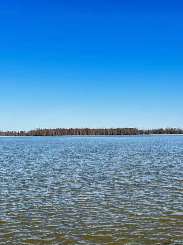 1 Pintail LN Lane, Elloree, SC 29047