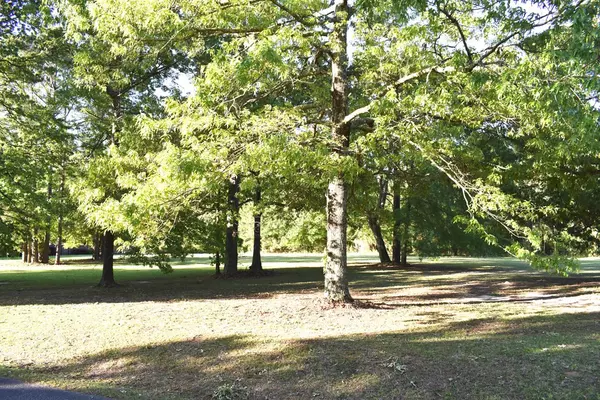 Manning, SC 29102,121 Woodlake Dr. (C-40)