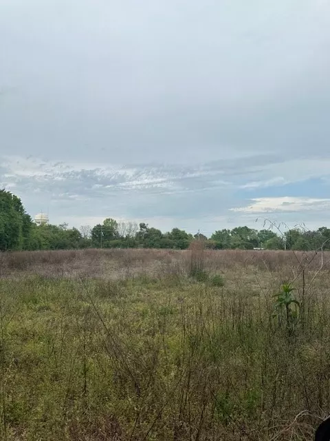 Manning, SC 29102,TBD Bloomville RD Road