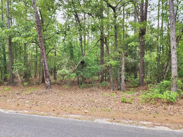 Williston, SC 29853,Lot 0 Weeks RD Road