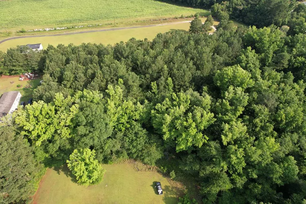 Holly Hill, SC 29059,TBD Lot B Catamount RD Road