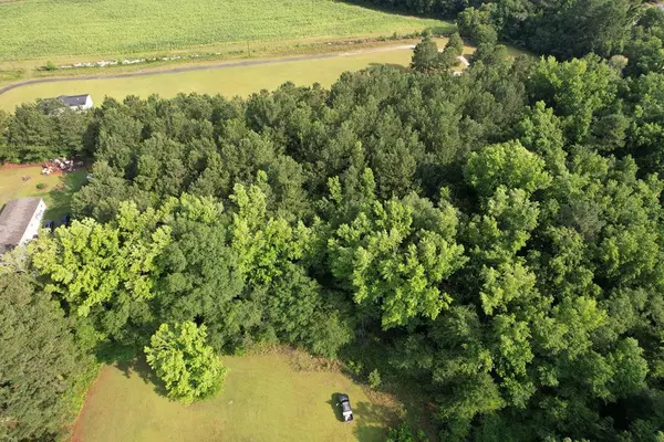TBD Lot B Catamount RD Road, Holly Hill, SC 29059