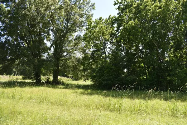 Summerton, SC 29148,TBD Fishing PL Place