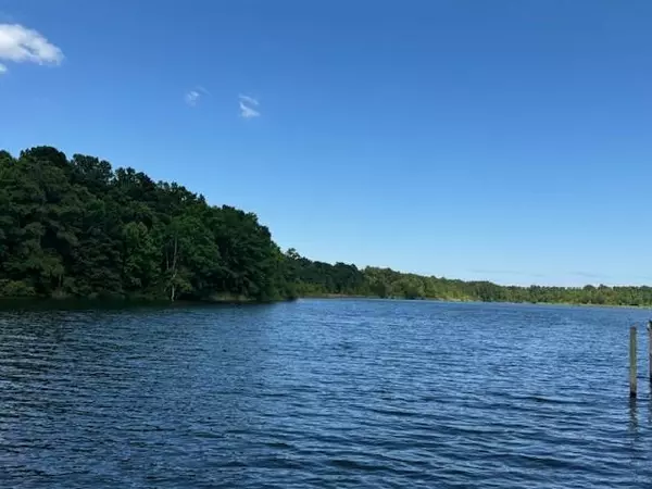 Summerton, SC 29148,1204 Gin Pond DR Drive