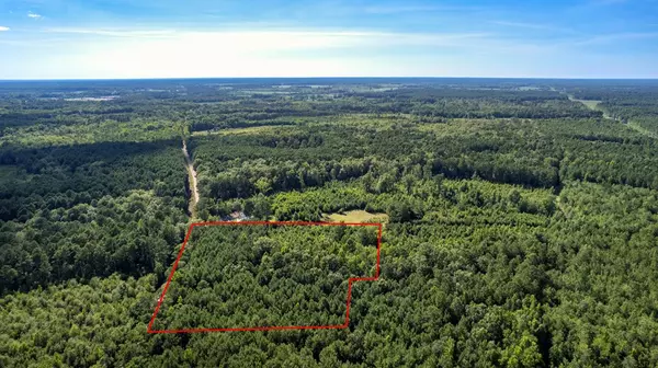 Summerton, SC 29148,TBD Doughty RD Road